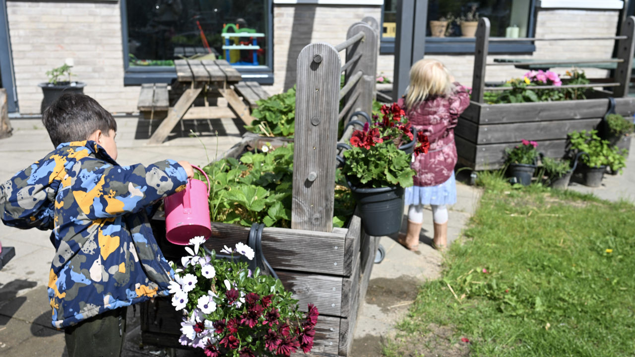 To børn vander blomster på legepladsen